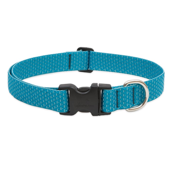 Lupine Eco 1" wide 12"-20" Collar