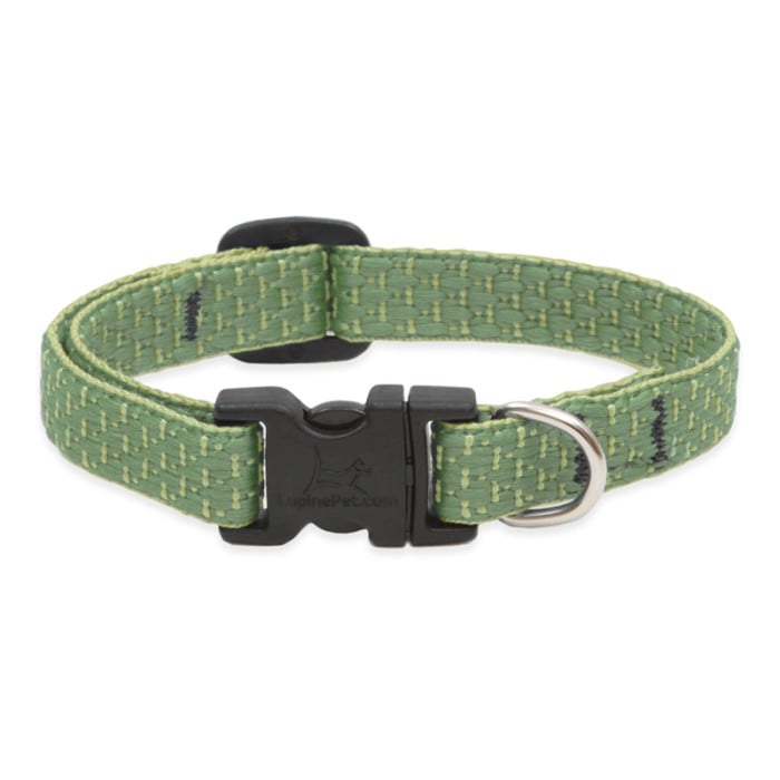 Lupine Eco 3/4" wide 13"-22" Collar