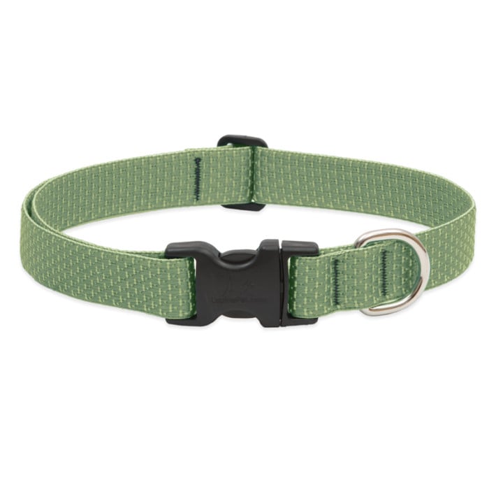 Lupine Eco 1" wide 12"-20" Collar