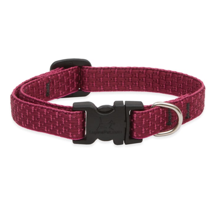 Lupine Eco 3/4" wide 13"-22" Collar