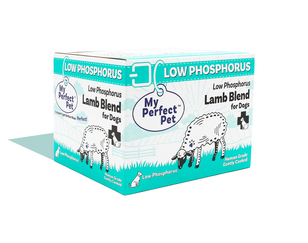 My Perfect Pet: Low Phosphorus Lamb & Rice- for Dogs 3lb Box with 12 Individual Wrapped Bars