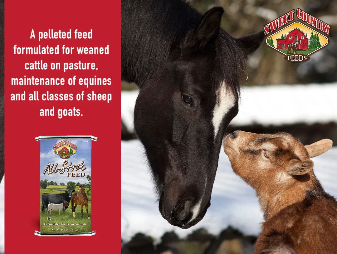 Sweet Country 12% All Stock Sweet Feed