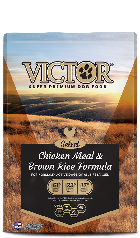 Victor Chicken Meal & Brown Rice Formula