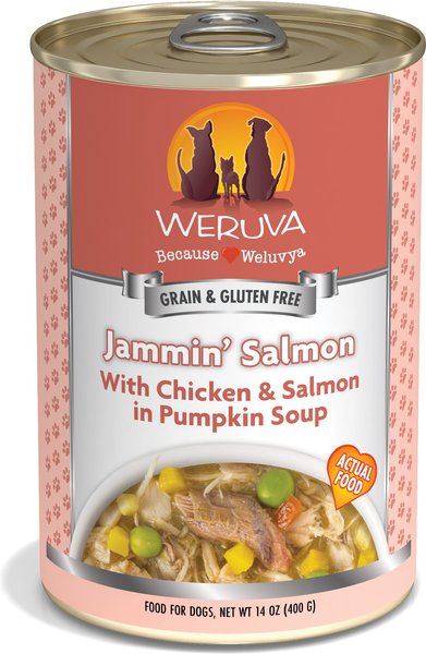 Weruva Jammin' Salmon with Chicken & Salmon Soup 14 oz Canned Dog Food