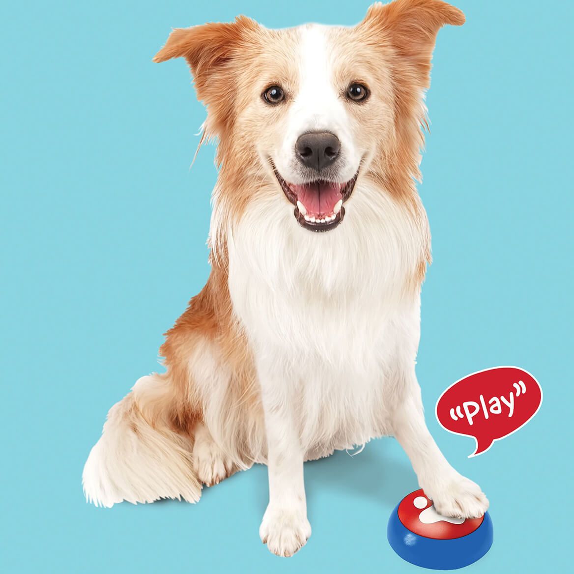 Spot Easy-Talk Recordable Buttons