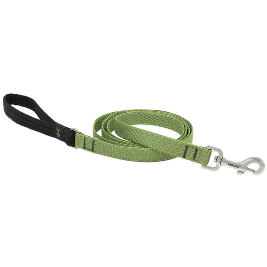 Lupine Eco 1" wide 6' Leash