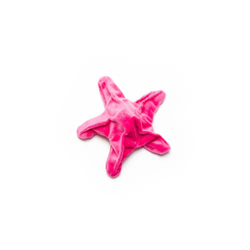 Mutts & Mittens: Starfish
