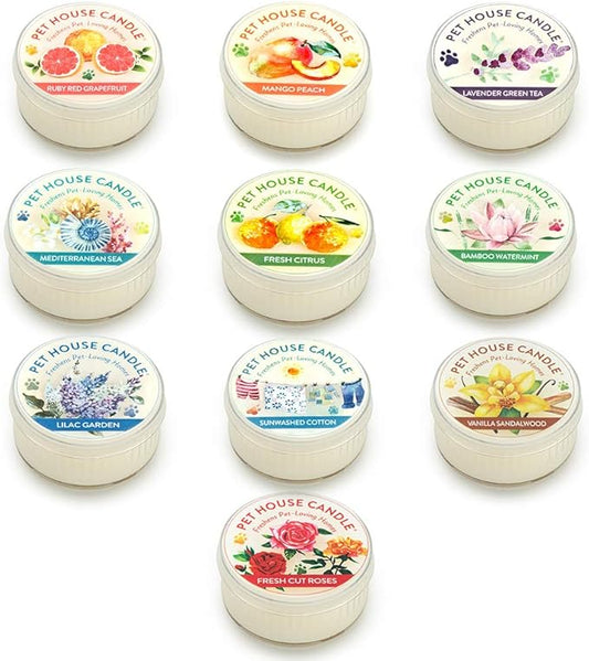 Pet House Mini Candles