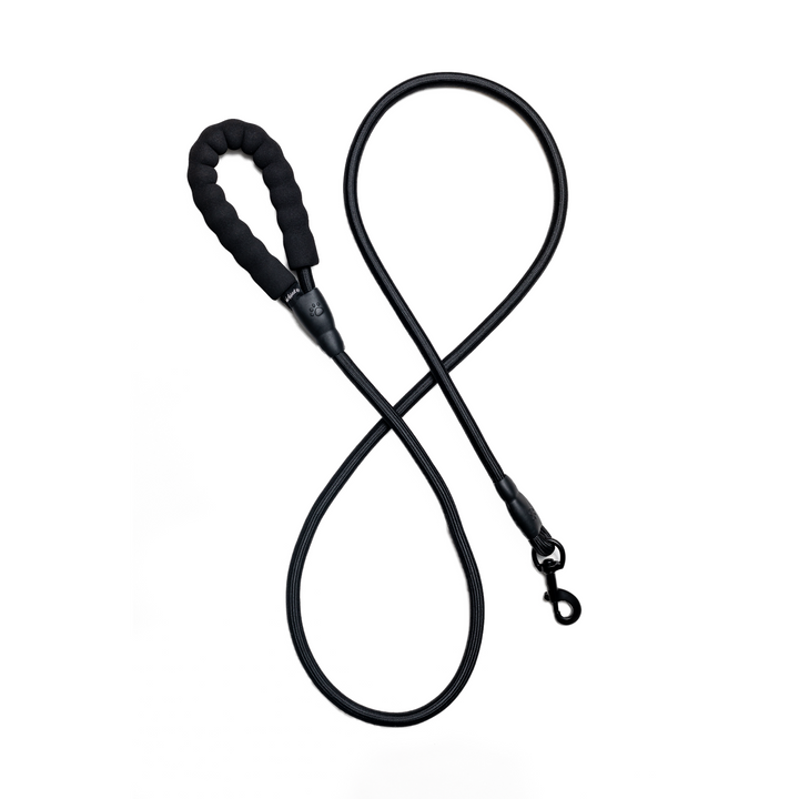 Bark Appeal Rope Leash 4'