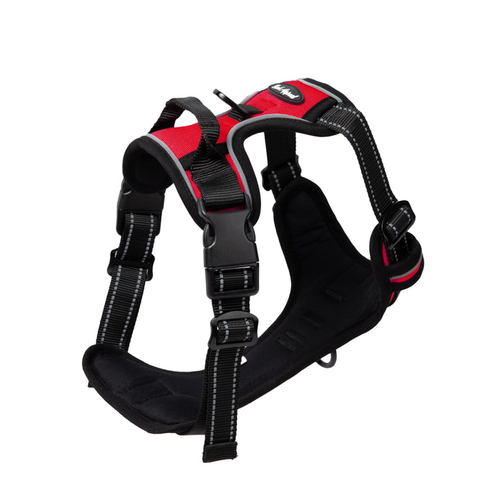 Bark Appeal Reflective Control Harness S