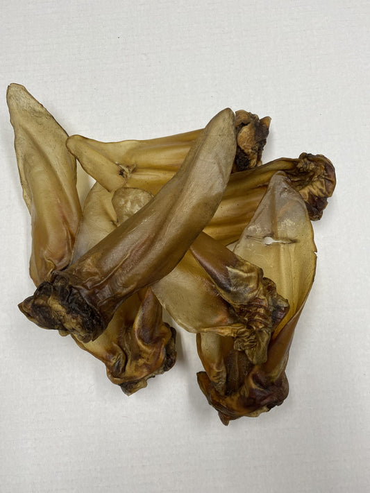 Pet Pros Choice Buffalo Ear