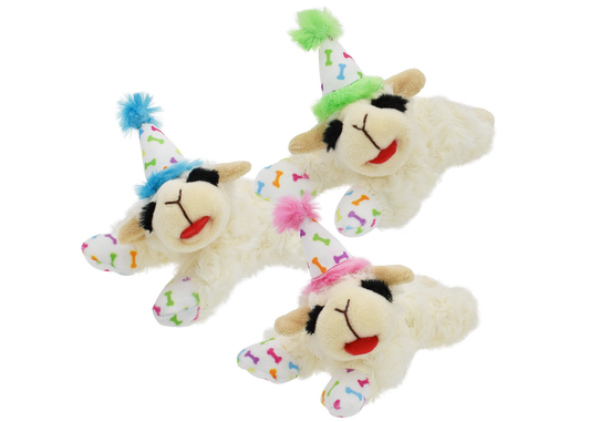 Lamb Chop with Birthday Hat