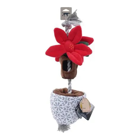 Tall Tails Poinsettia Tug & Treat 16"
