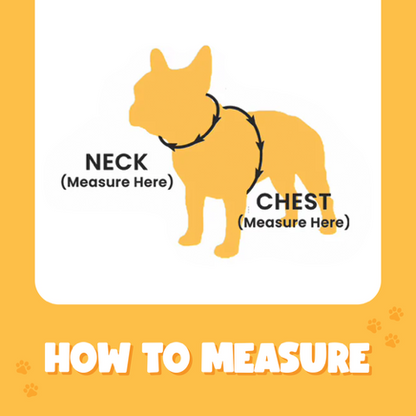 Bark Appeal Reflective Control Harness S