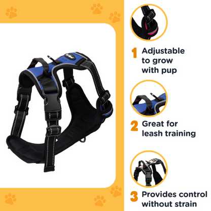 Bark Appeal Reflective Control Harness S