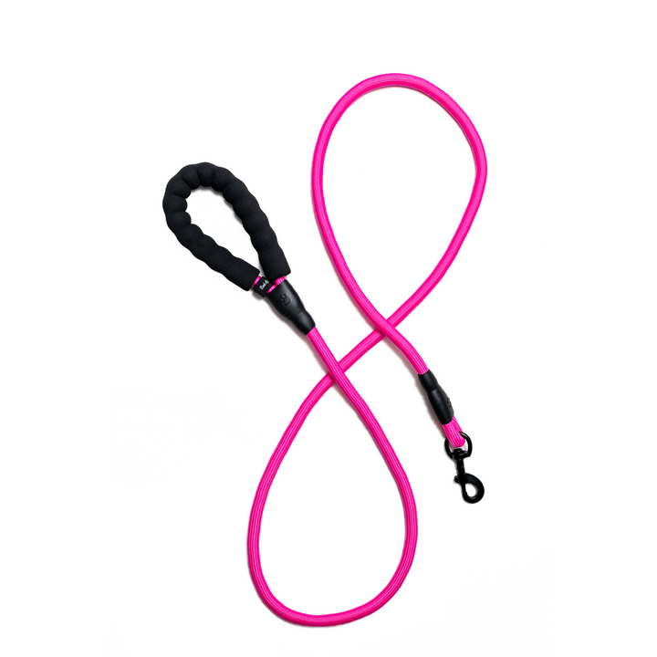 Bark Appeal Rope Leash 4'