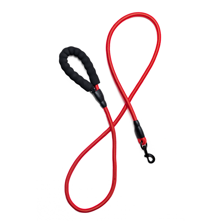 Bark Appeal Rope Leash 4'