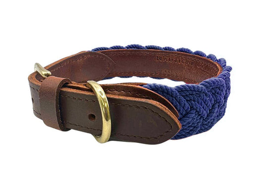 Bay Dog Sea Side Collar