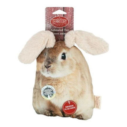 Territory Toys Floppy Rabbit Dog Toy