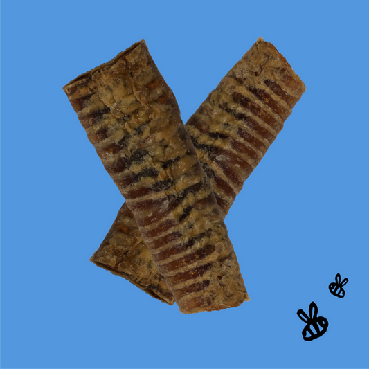 Honey I'm Home! Honey Coated Buffalo Trachea Tube