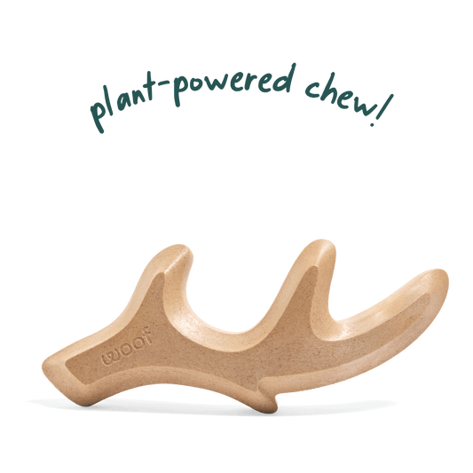 Woof: HonestChew Antler