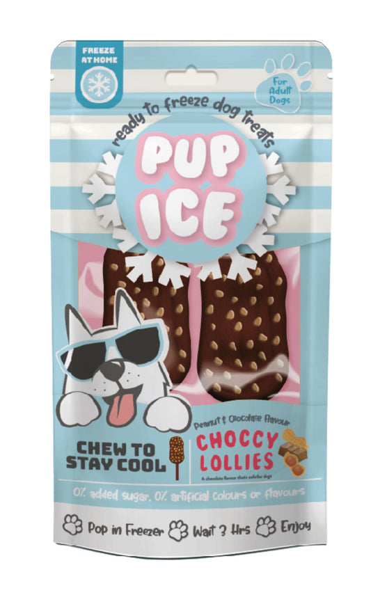 Ethical Products Pup Ice Choccy Lollie Pop Dog Treat Peanut & Chocolate 2pk
