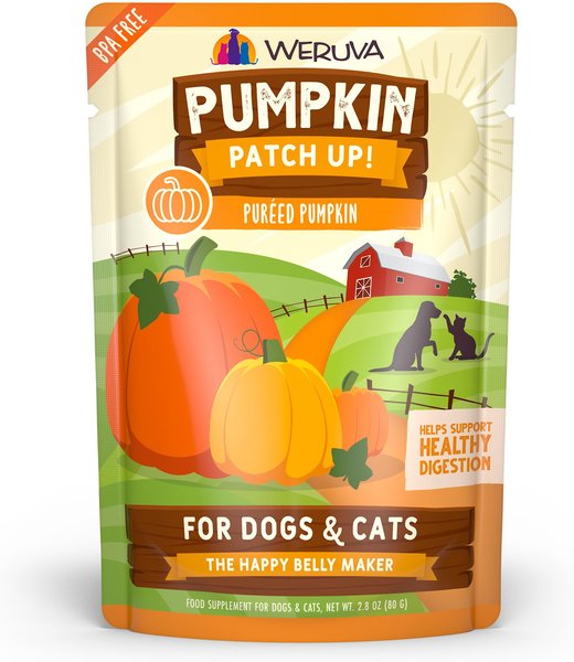 Weruva: Pumpkin Patch Up! 2.8oz Pouch