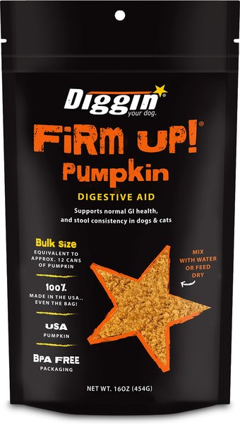 Diggin Your Dog Firm Up! Pumpkin