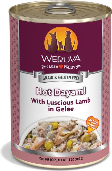 Weruva Hot Dayam! With Luscious Lamb in Gelee