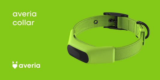 Averia GPS Collar Green Large