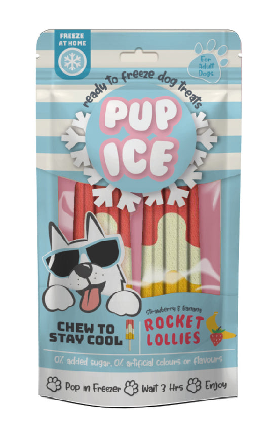 Spot Pup Ice Dog Chew Treat Rocket Lollie, Strawberry & Banana, 1ea/2 pk