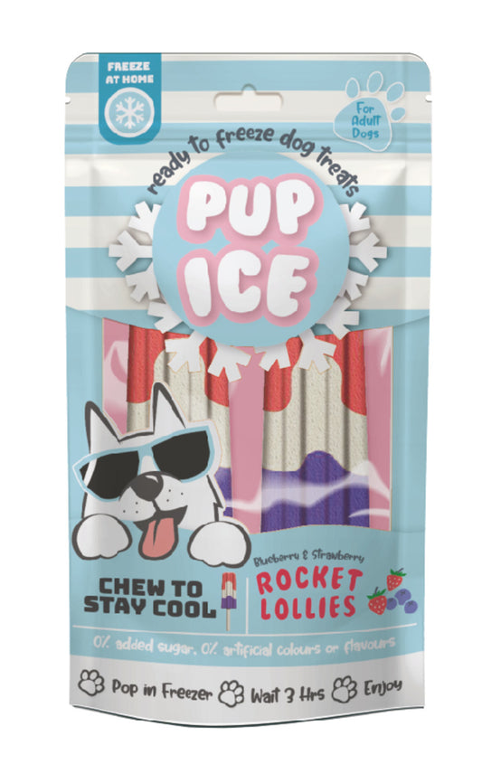 Spot Pup Ice Dog Chew Treat Rocket Lollie, Strawberry & Blueberry, 1ea/2 pk