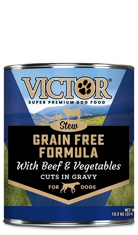 Victor Premium Dog Food Grain Free Formula with Beef and Vegetables Cuts in Gravy